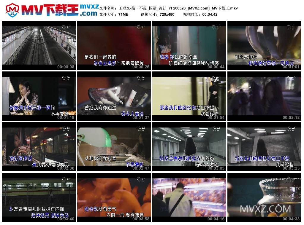 王理文-绝口不提_国语_流行_YF200520